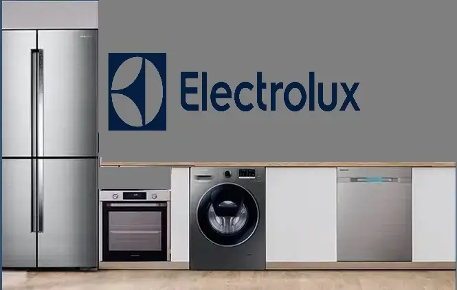 Güngören Electrolux servisi